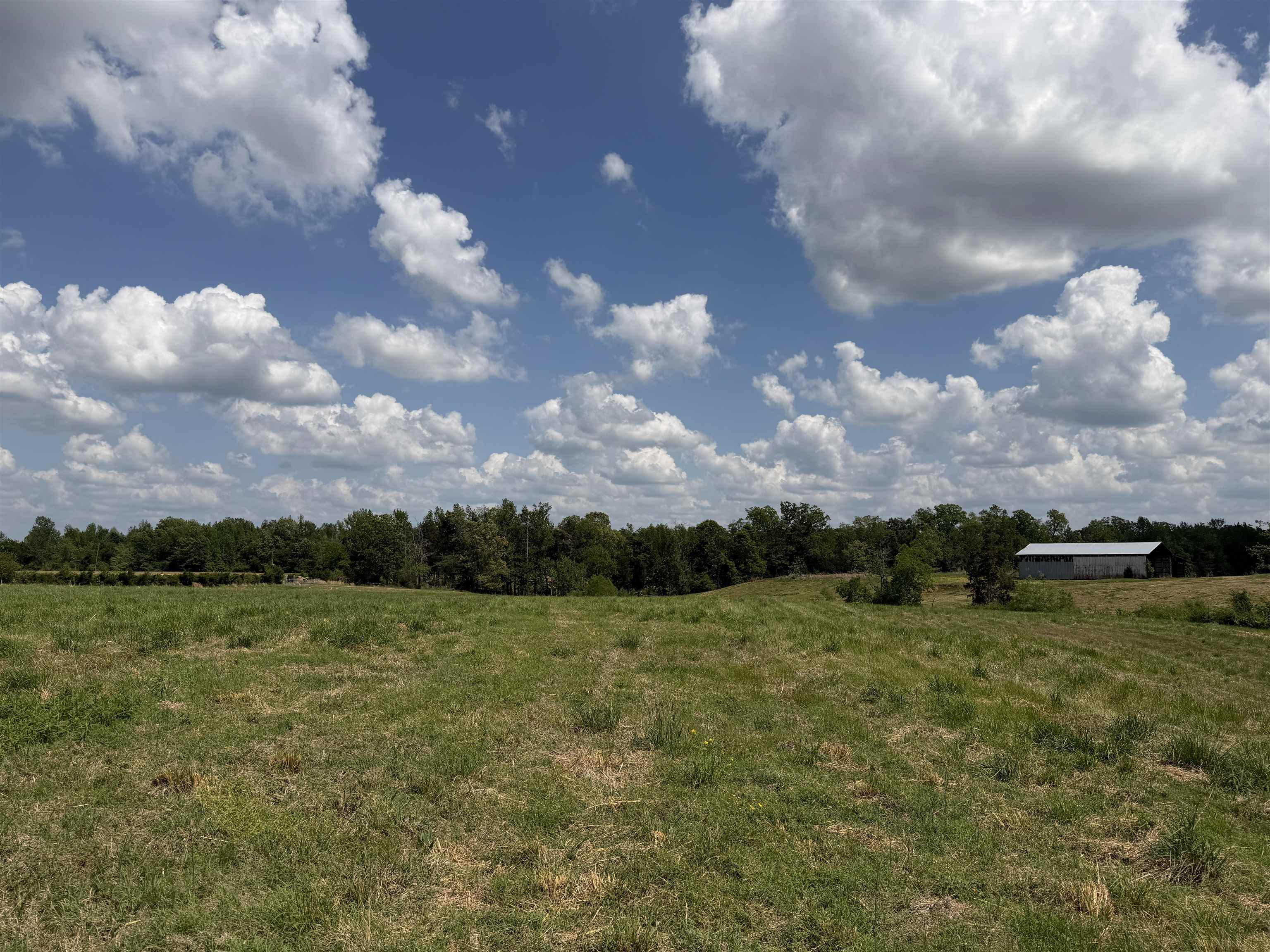 1 Saltillo Road Morris Chapel, TN 38361 - Photo 21 of 40 a view of a city
