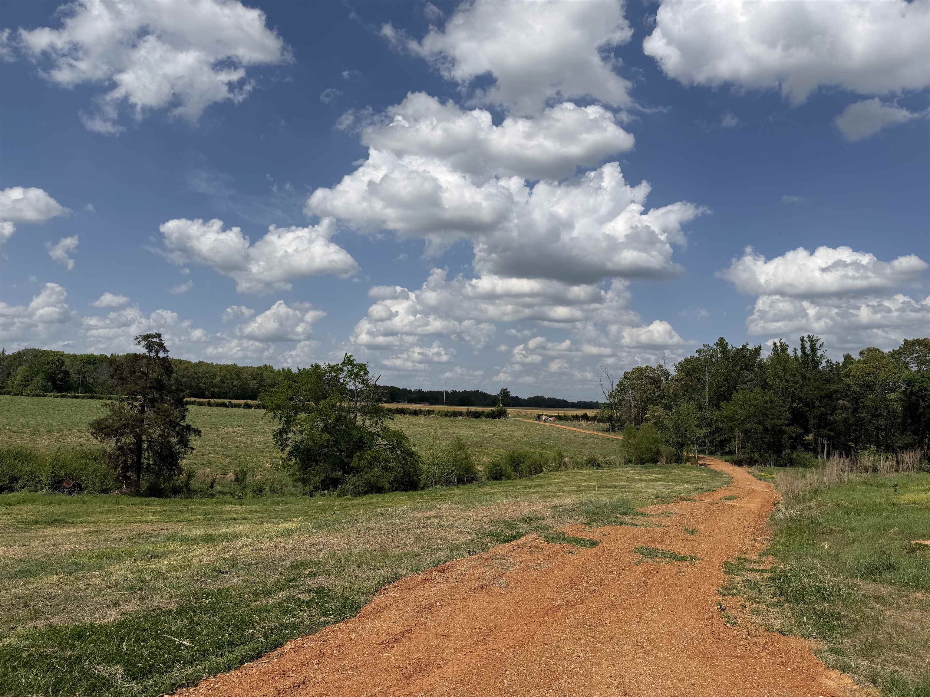 1 Saltillo Road Morris Chapel, TN 38361 - Photo 22 of 40 a view of a pathway with a big yard