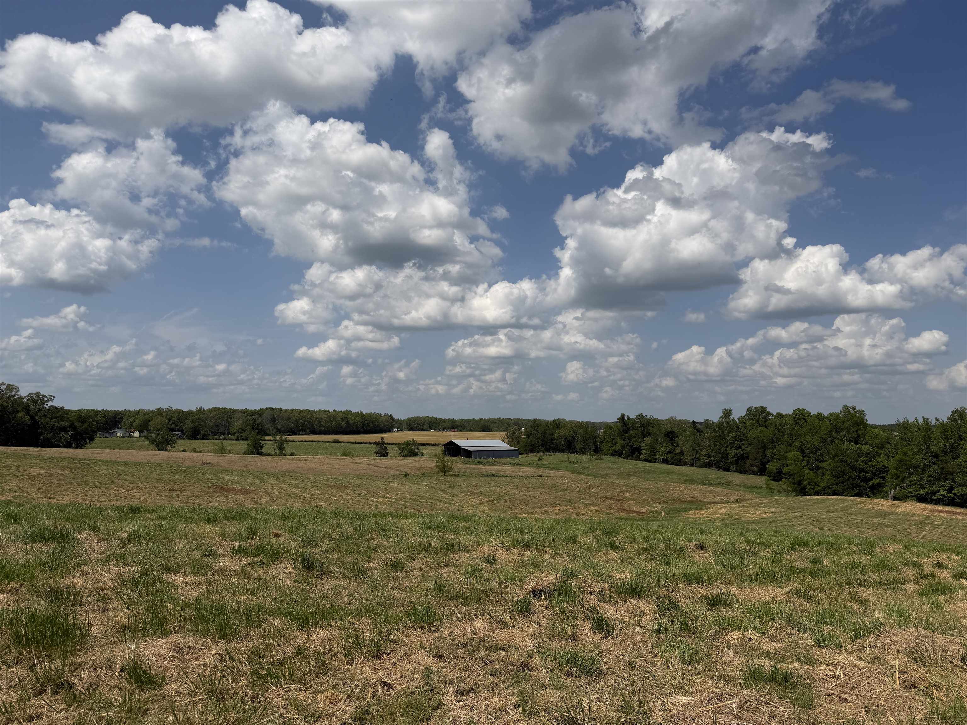 1 Saltillo Road Morris Chapel, TN 38361 - Photo 27 of 40