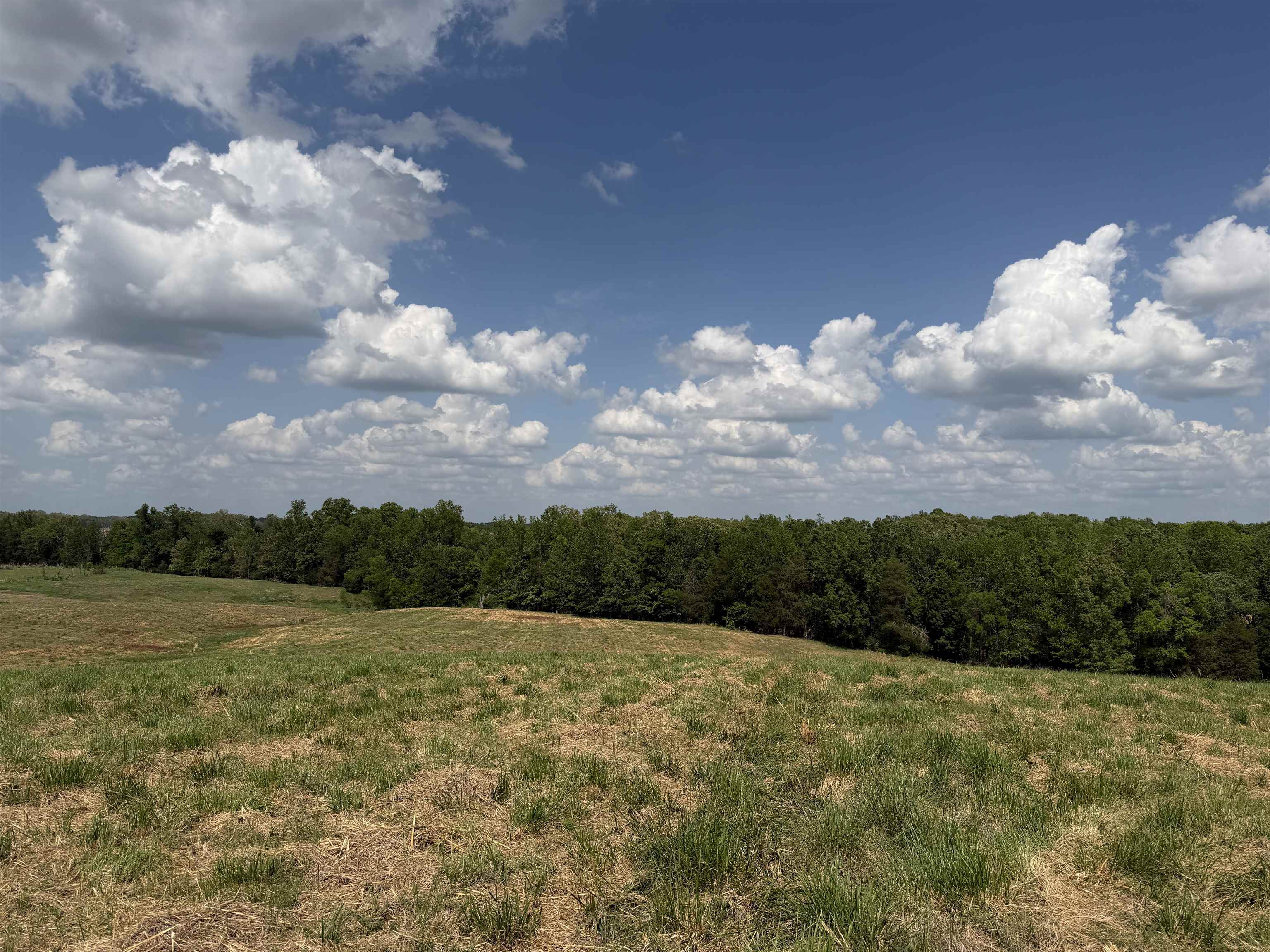 1 Saltillo Road Morris Chapel, TN 38361 - Photo 28 of 40 a view of mountain with lake view