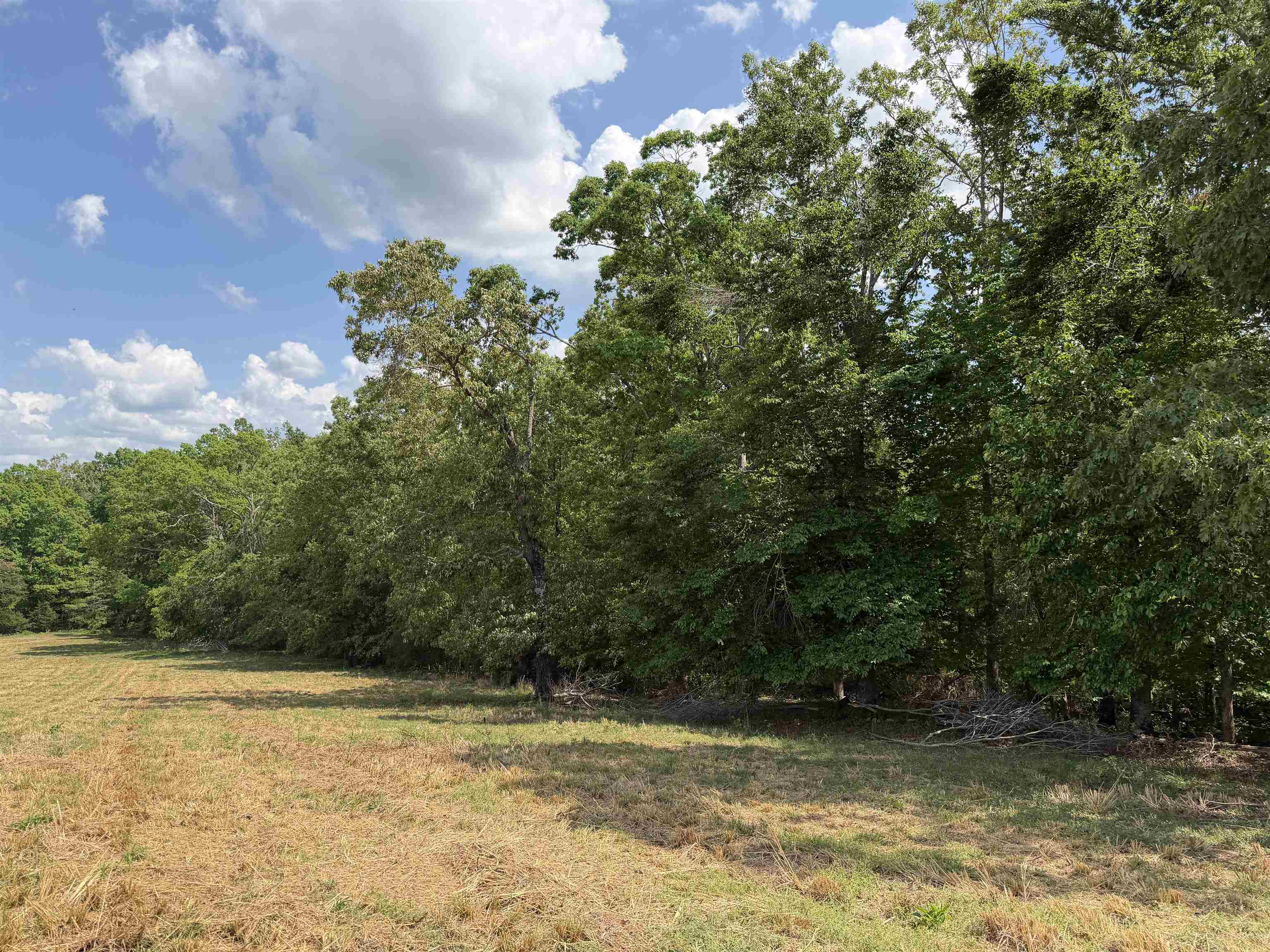1 Saltillo Road Morris Chapel, TN 38361 - Photo 29 of 40 a view of a lake view