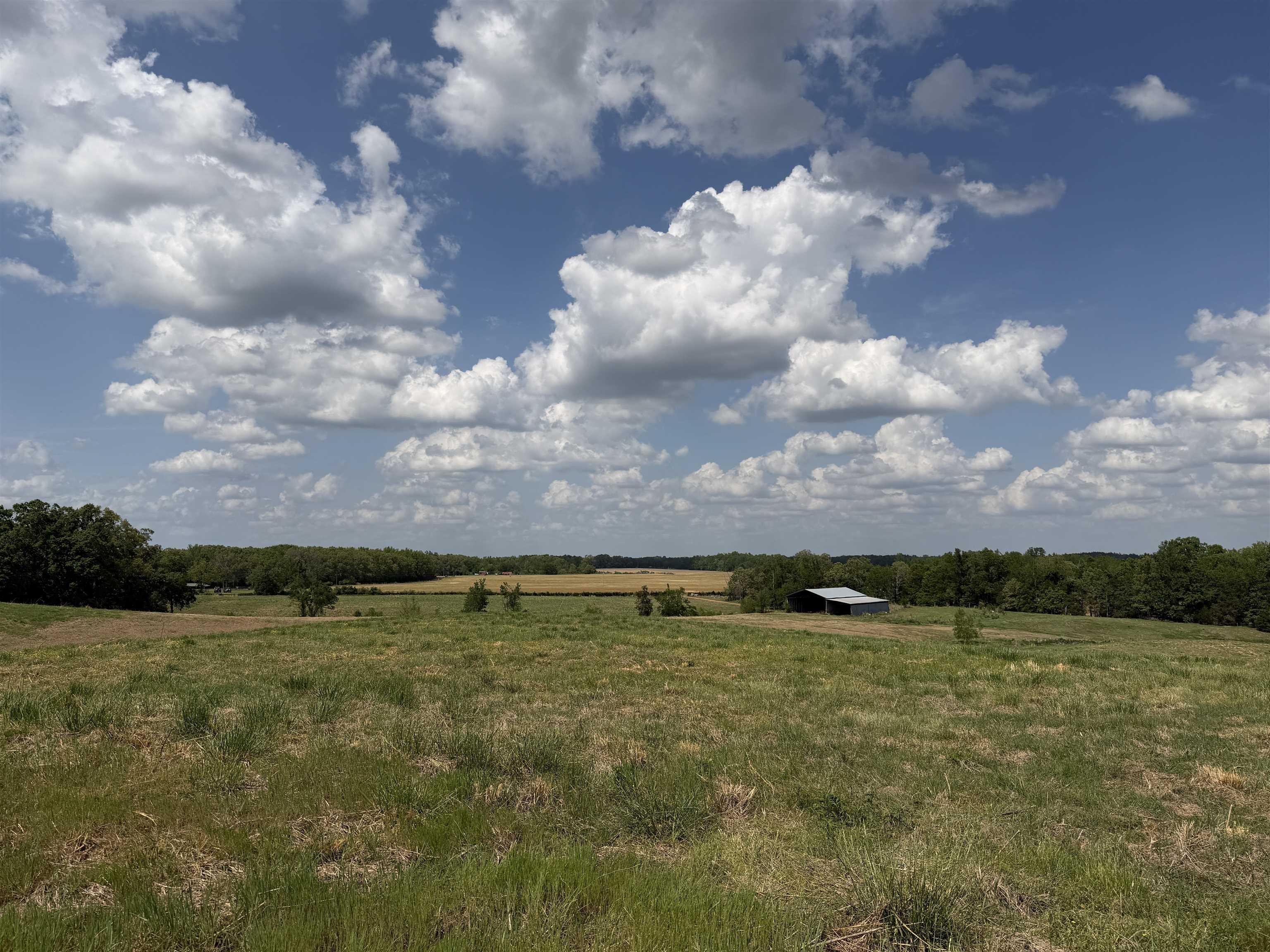 1 Saltillo Road Morris Chapel, TN 38361 - Photo 3 of 40 a view of an ocean