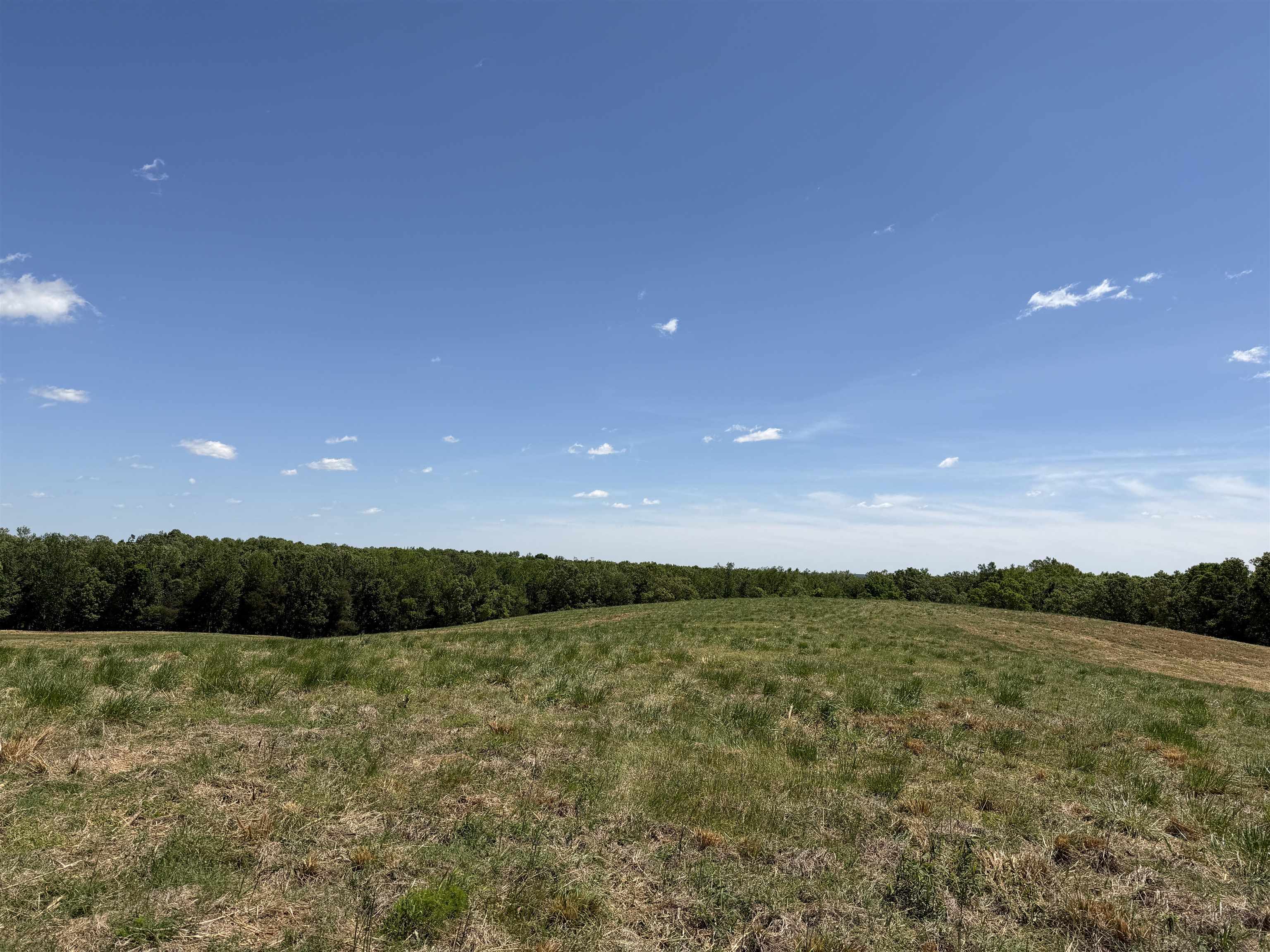 1 Saltillo Road Morris Chapel, TN 38361 - Photo 38 of 40 a view of an ocean and a yard