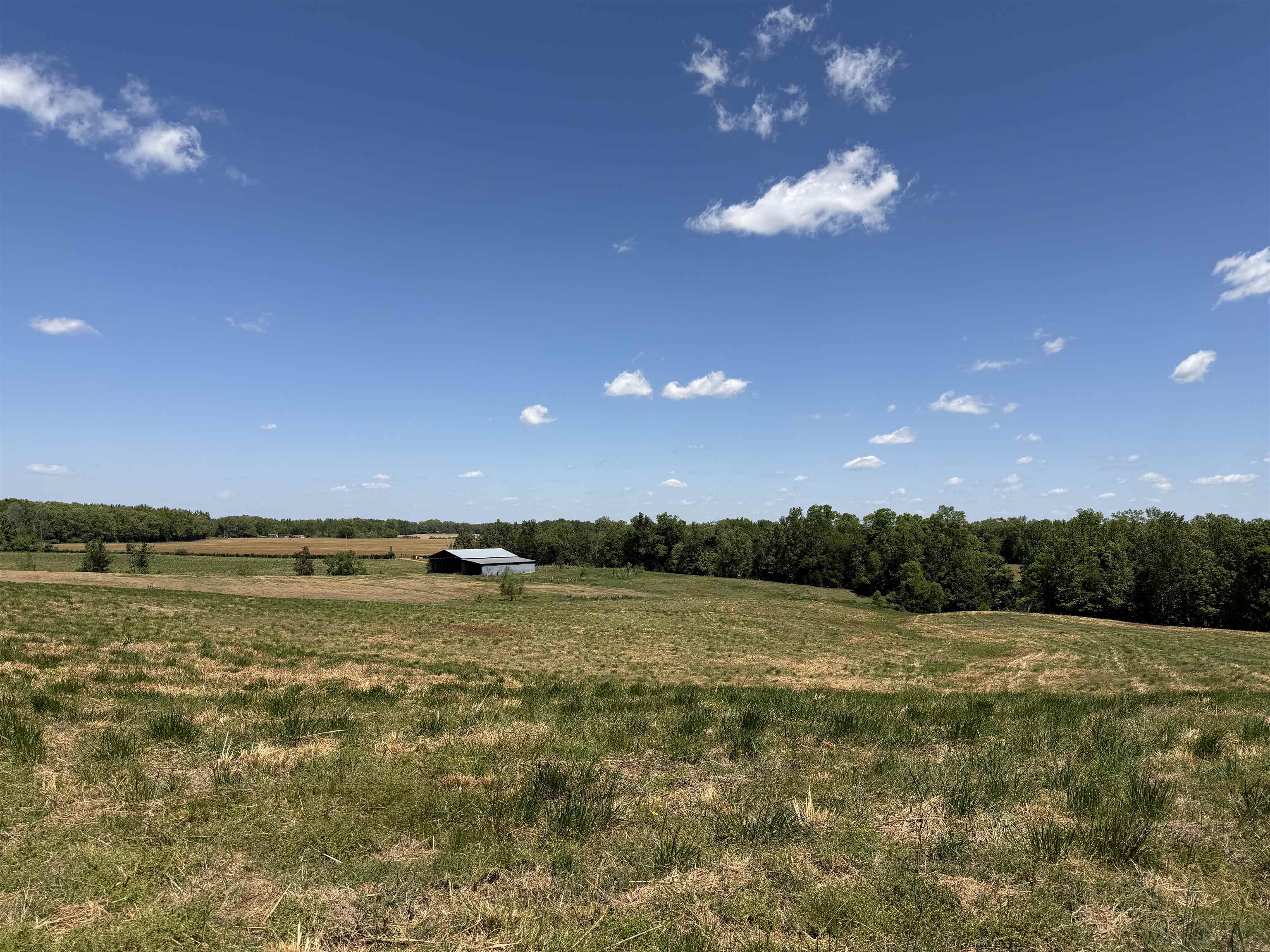 1 Saltillo Road Morris Chapel, TN 38361 - Photo 39 of 40 a view of an ocean and a yard