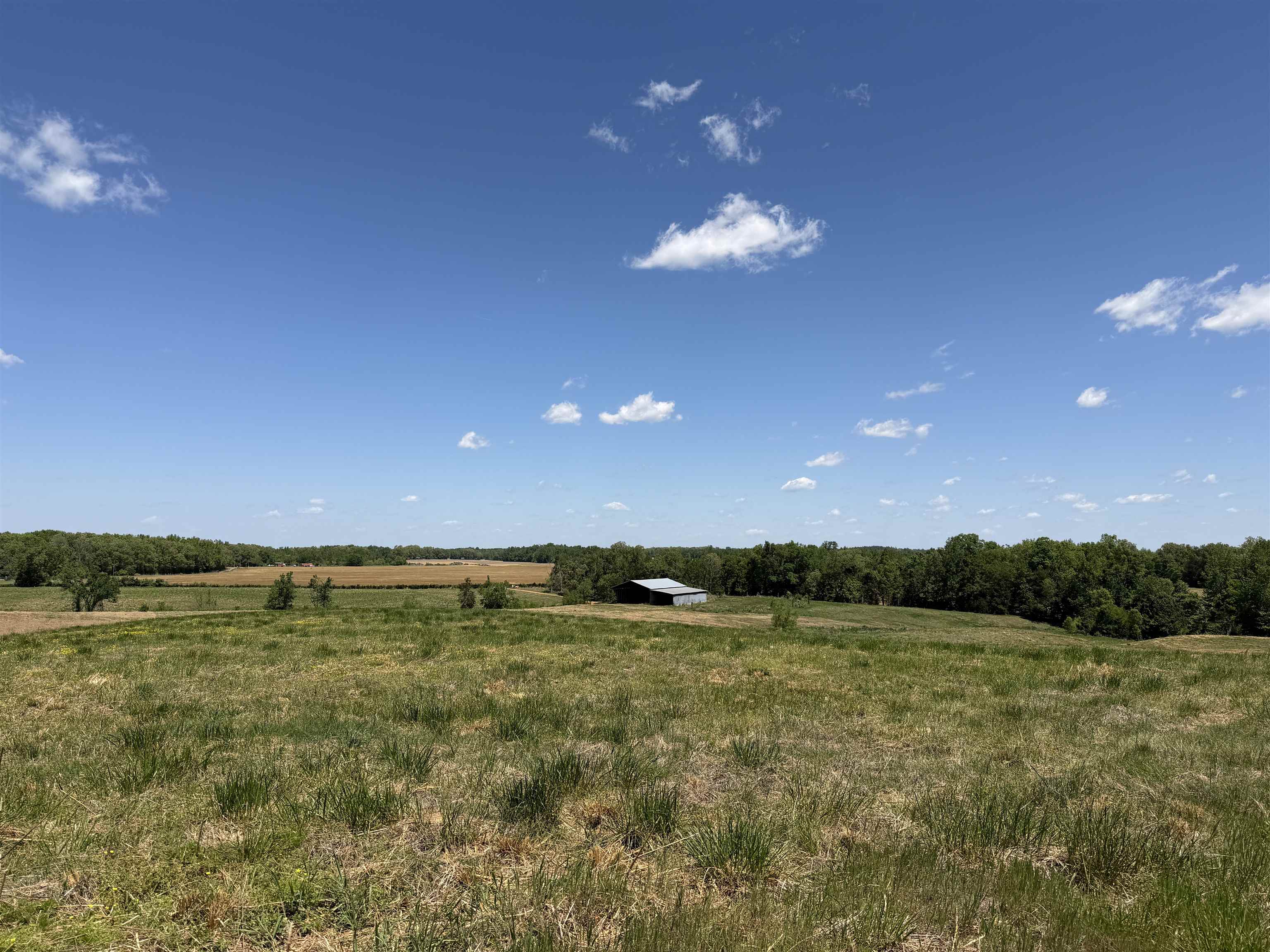 1 Saltillo Road Morris Chapel, TN 38361 - Photo 5 of 40 a view of an ocean and a yard