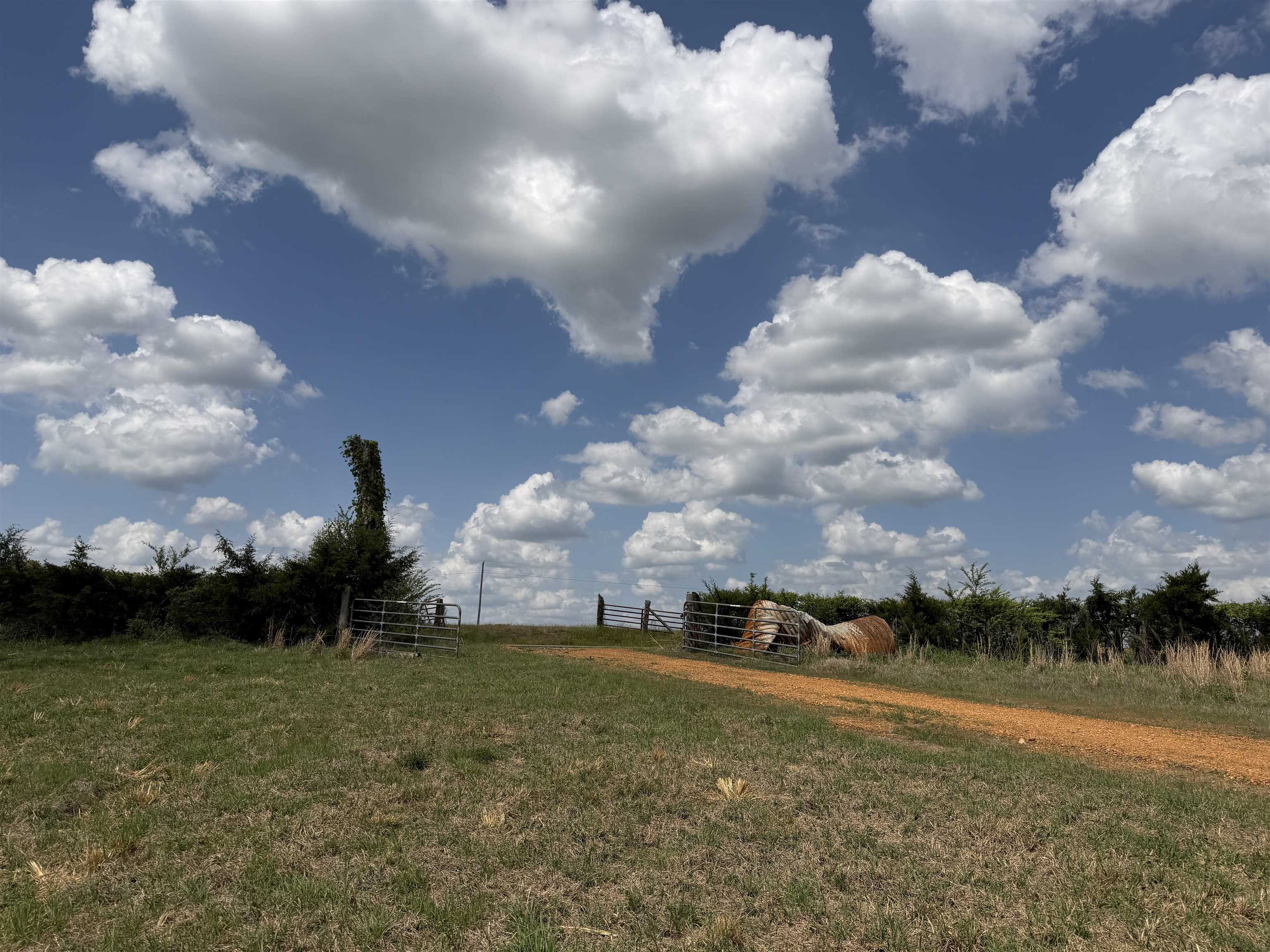 1 Saltillo Road Morris Chapel, TN 38361 - Photo 8 of 40 a view of a lake