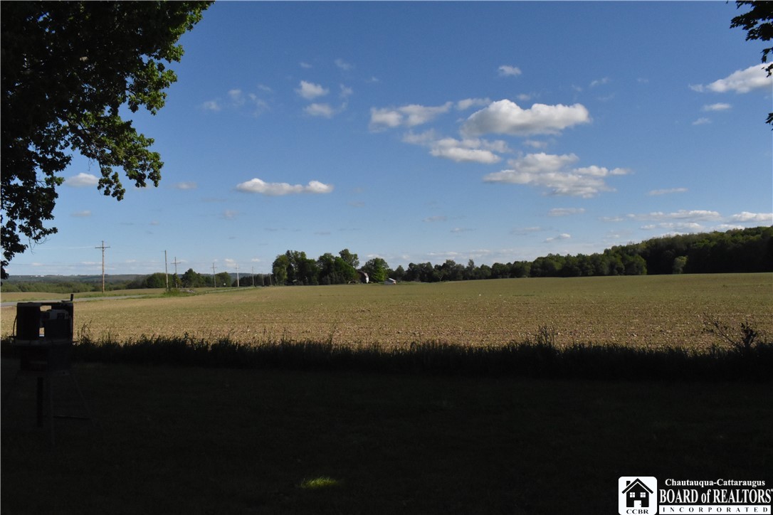 11580 Savage Road Sardinia, NY 14030 - Photo 25 of 29