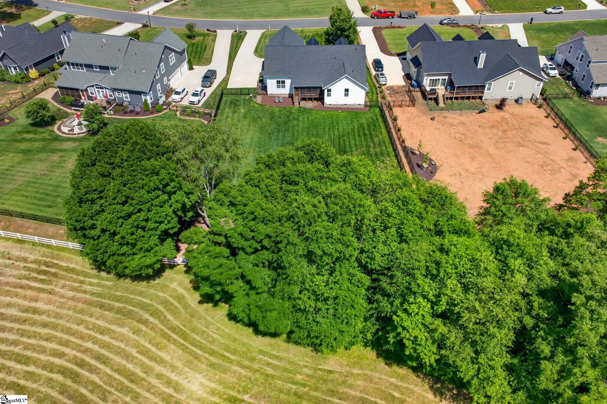 416 Plevin Way Pelzer, SC 29669 - Photo 48 of 50