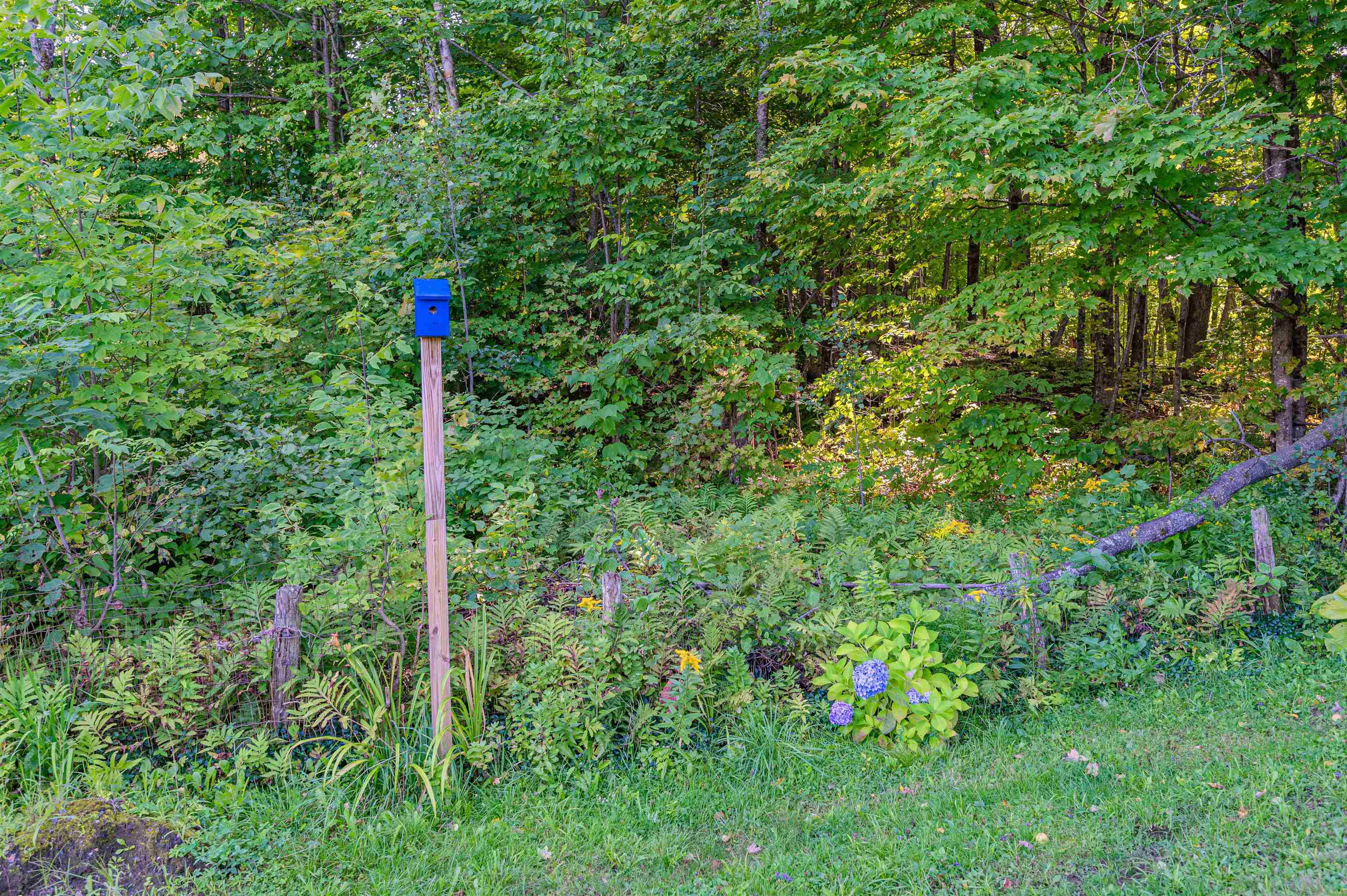 1225 Carrier Road Washington, VT 05675 - Photo 28 of 38