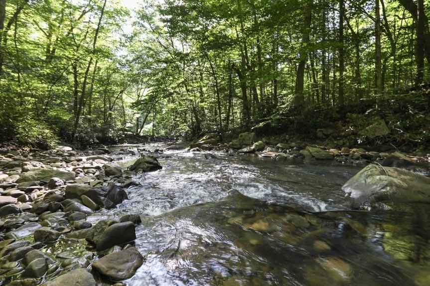 0 Fall Run Road Rockwood, PA 15557 - Photo 1 of 15 Gallery Image 1