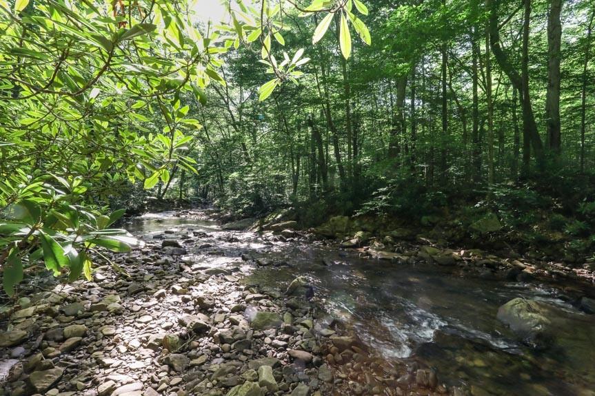 0 Fall Run Road Rockwood, PA 15557 - Photo 2 of 15 Gallery Image 2
