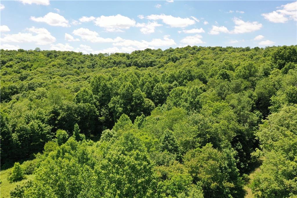 0 Fall Run Road Rockwood, PA 15557 - Photo 11 of 15 Gallery Image 11