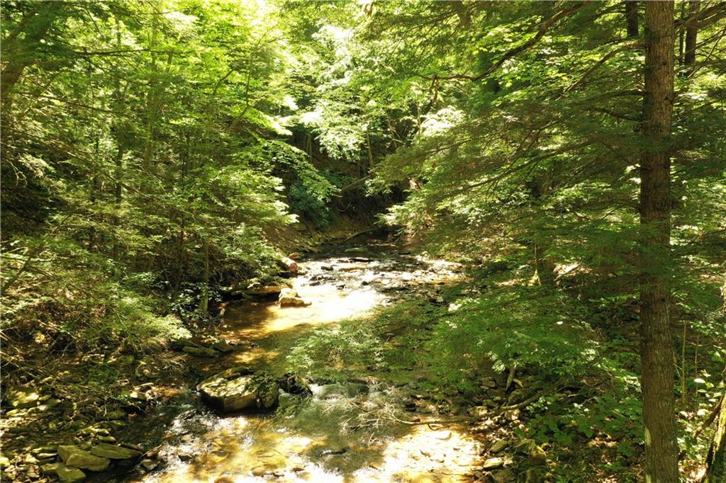 0 Fall Run Road Rockwood, PA 15557 - Photo 5 of 15 Gallery Image 5