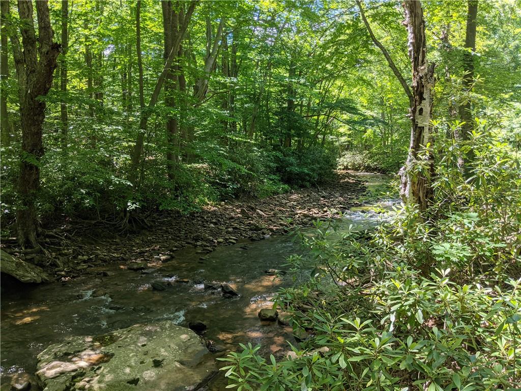 0 Fall Run Road Rockwood, PA 15557 - Photo 7 of 15 Gallery Image 7