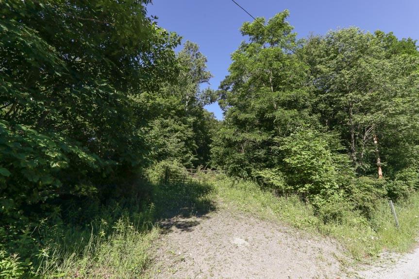 0 Fall Run Road Rockwood, PA 15557 - Photo 8 of 15 Gallery Image 8