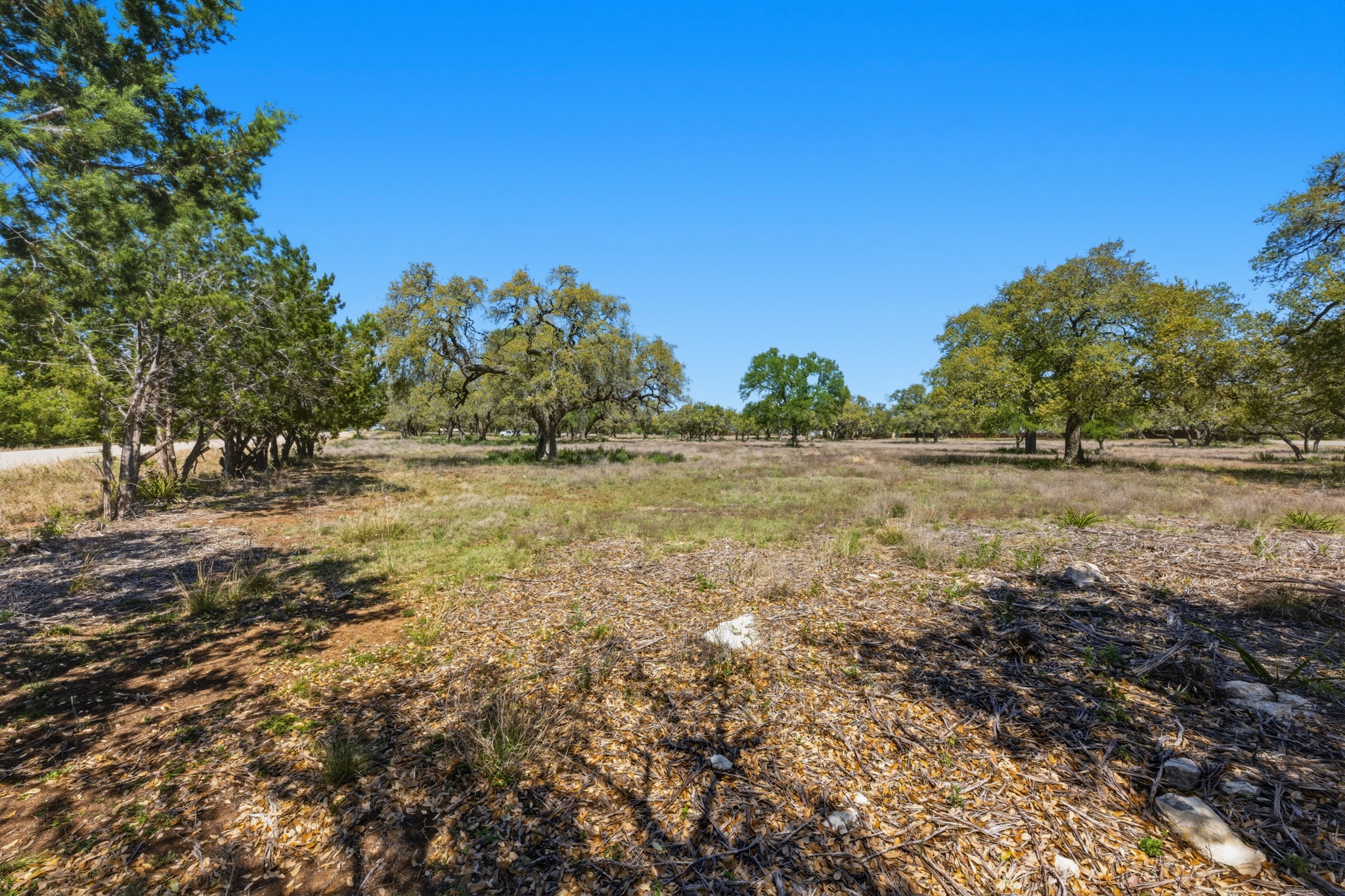 268 Kinnikinik Loop Austin, TX 78737 - Photo 22 of 32 a view of a yard with a tree
