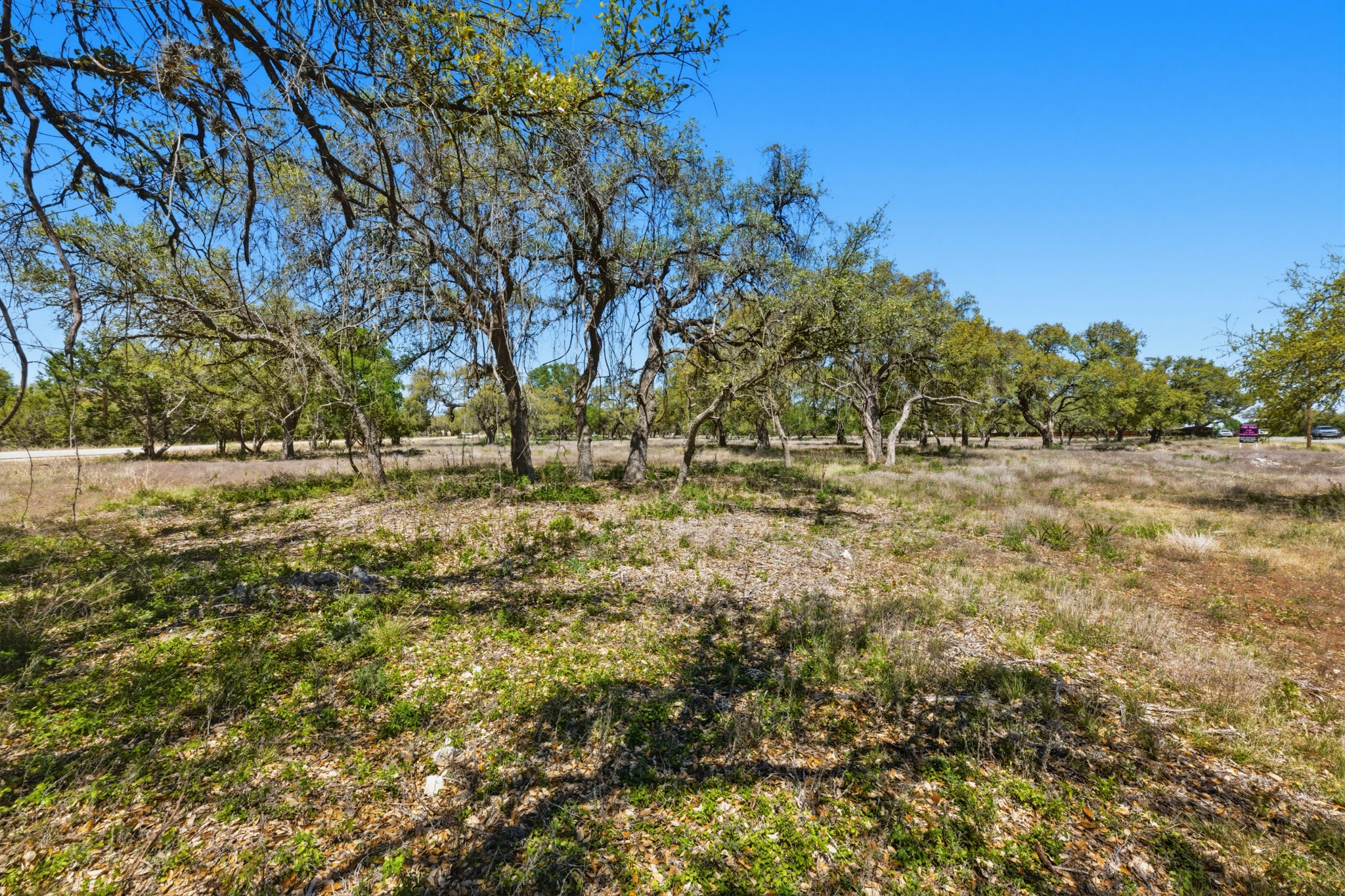 268 Kinnikinik Loop Austin, TX 78737 - Photo 24 of 32 a view of dirt field