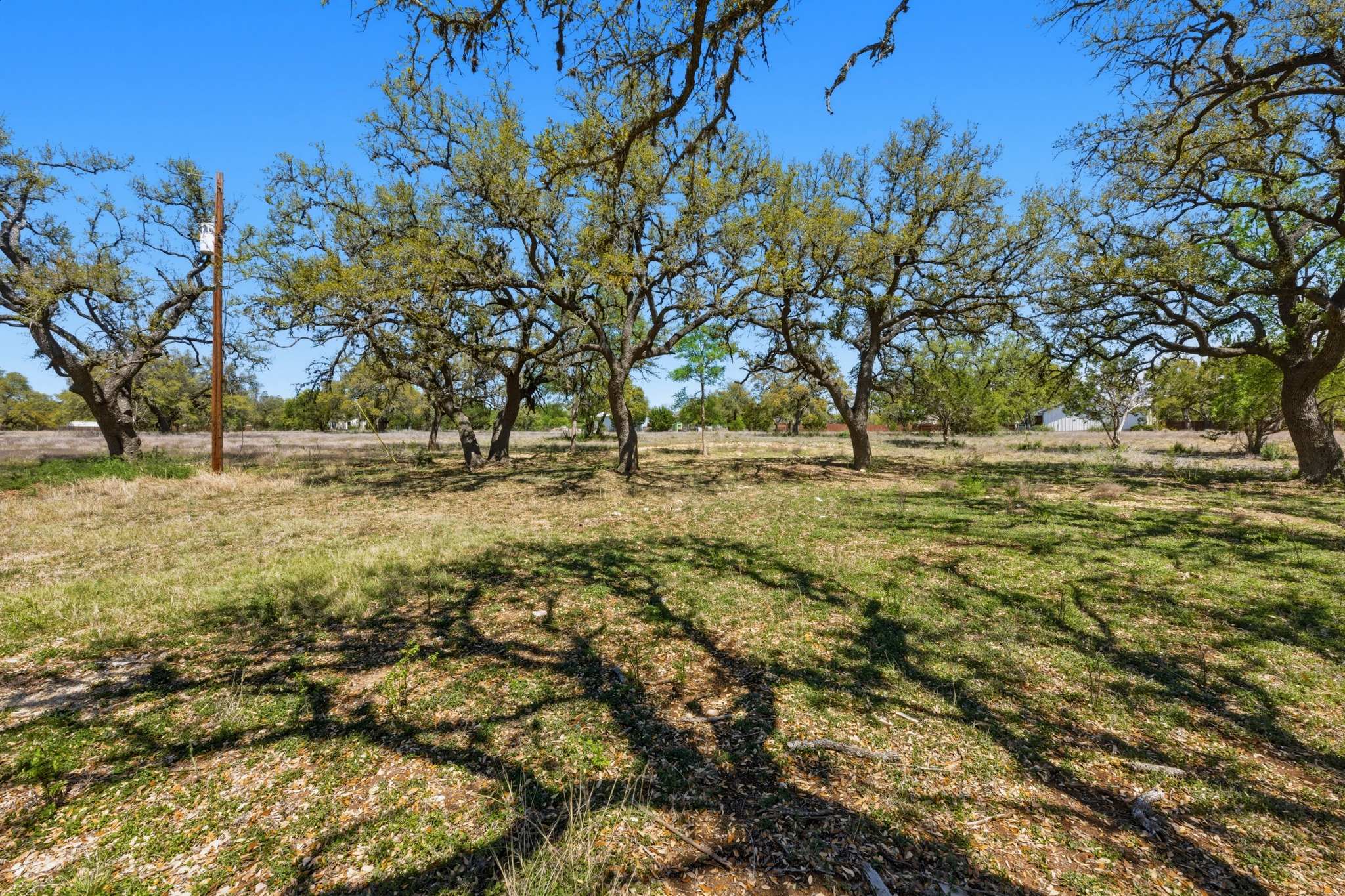 268 Kinnikinik Loop Austin, TX 78737 - Photo 29 of 32 a view of yard with trees