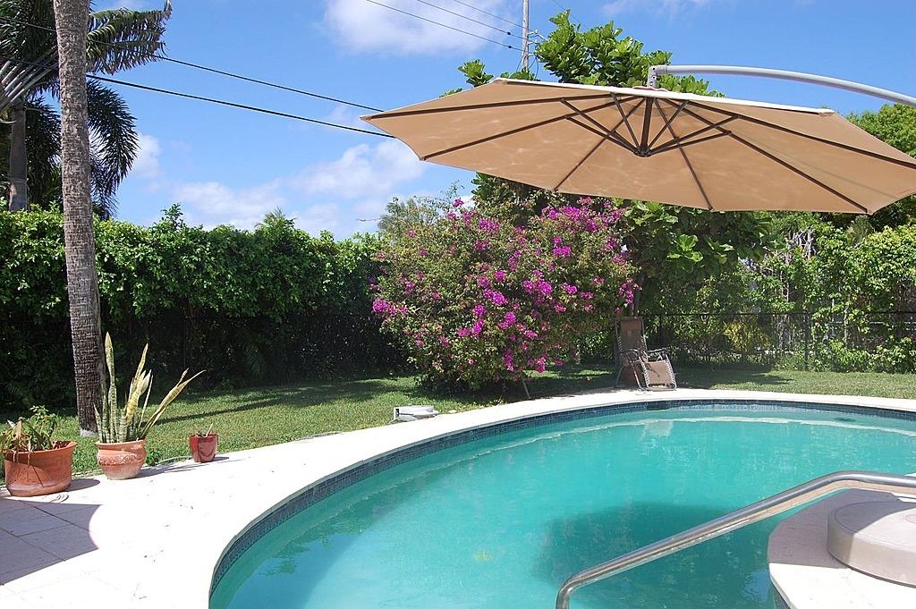 991 Mulberry Way Boca Raton, FL 33486 - Photo 15 of 28 Tropical backyard