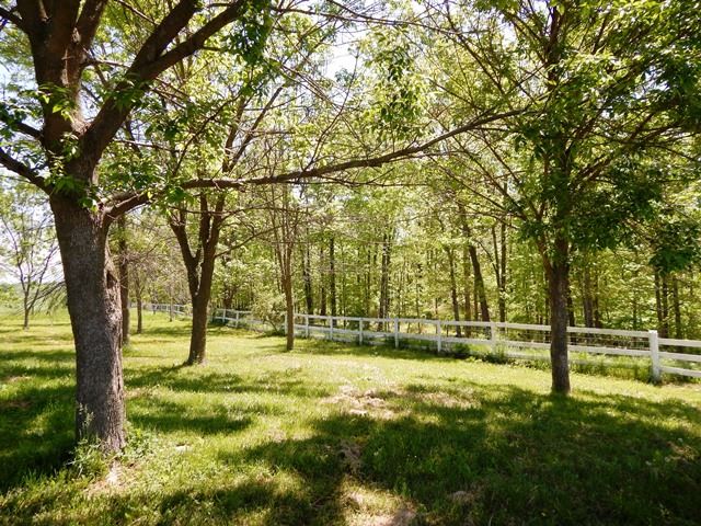 46 Ramsey Road Staunton, VA 24401 - Photo 4 of 36 Gallery Image 4