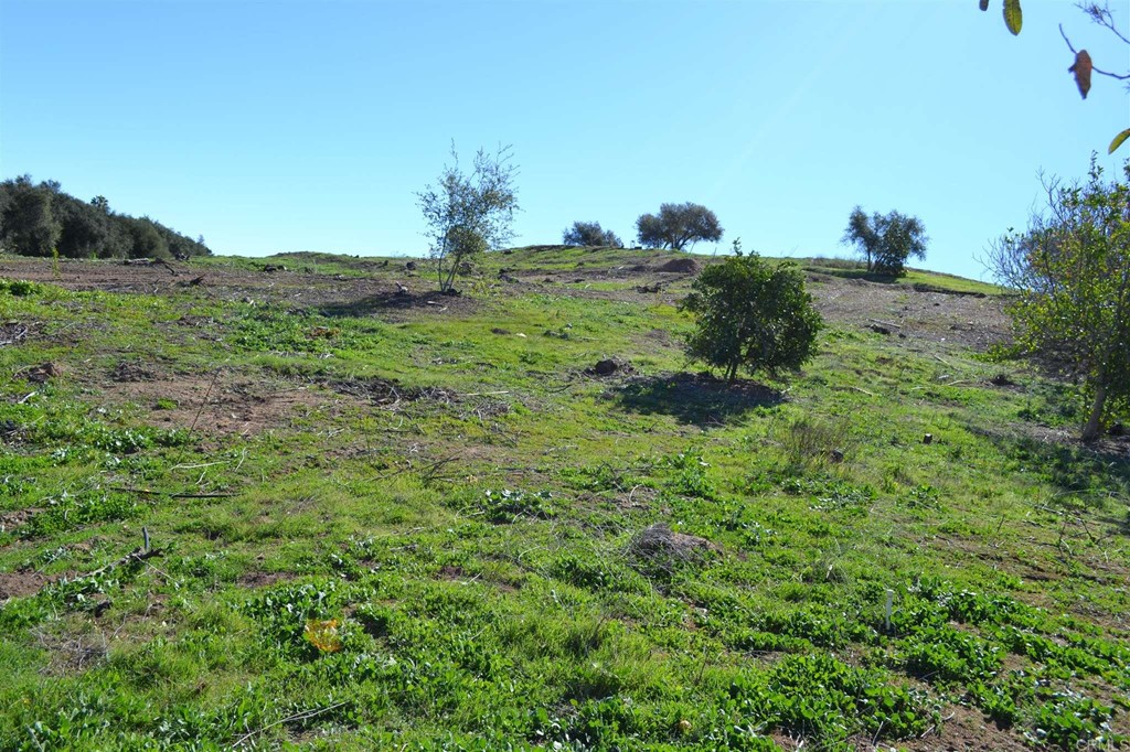 0 Dos Ninos Road Fallbrook, CA 92028 - Photo 1 of 1