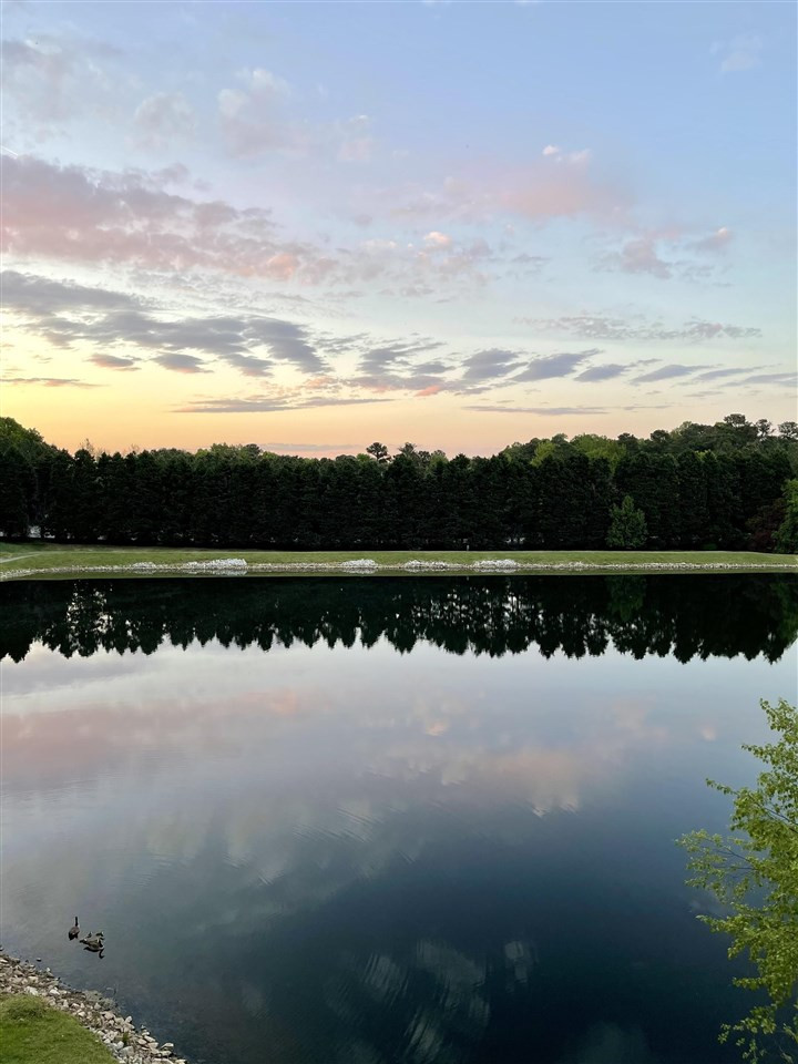 530 Springfork Drive Cary, NC 27513 - Photo 17 of 18 Great sunset taken by the seller. One of many!