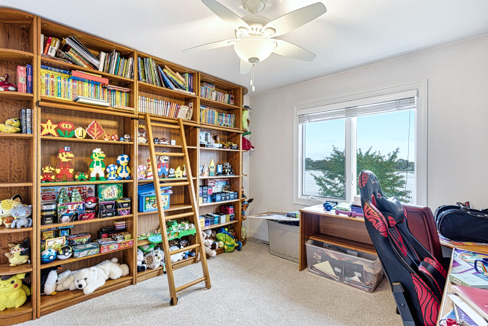 220 Santos Avenue Minooka, IL 60447 - Photo 25 of 46 a view of a workspace with bookshelf and a window