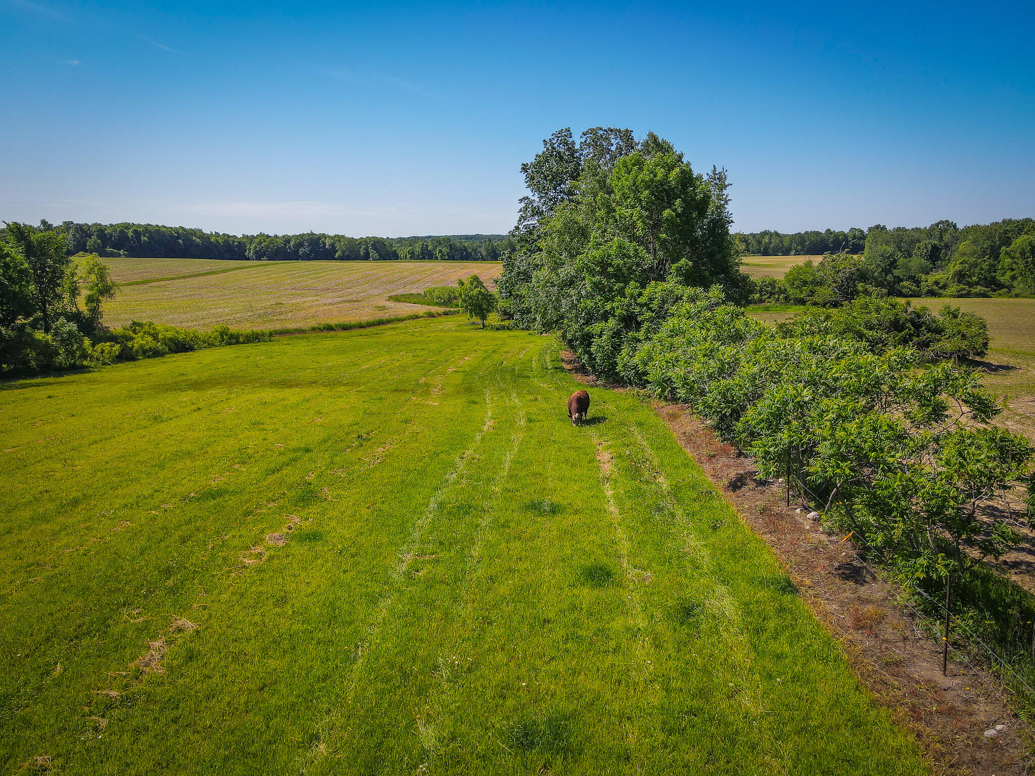 131.43 East Hazel Road Hart, MI 49420 - Photo 29 of 87 DJI_0454