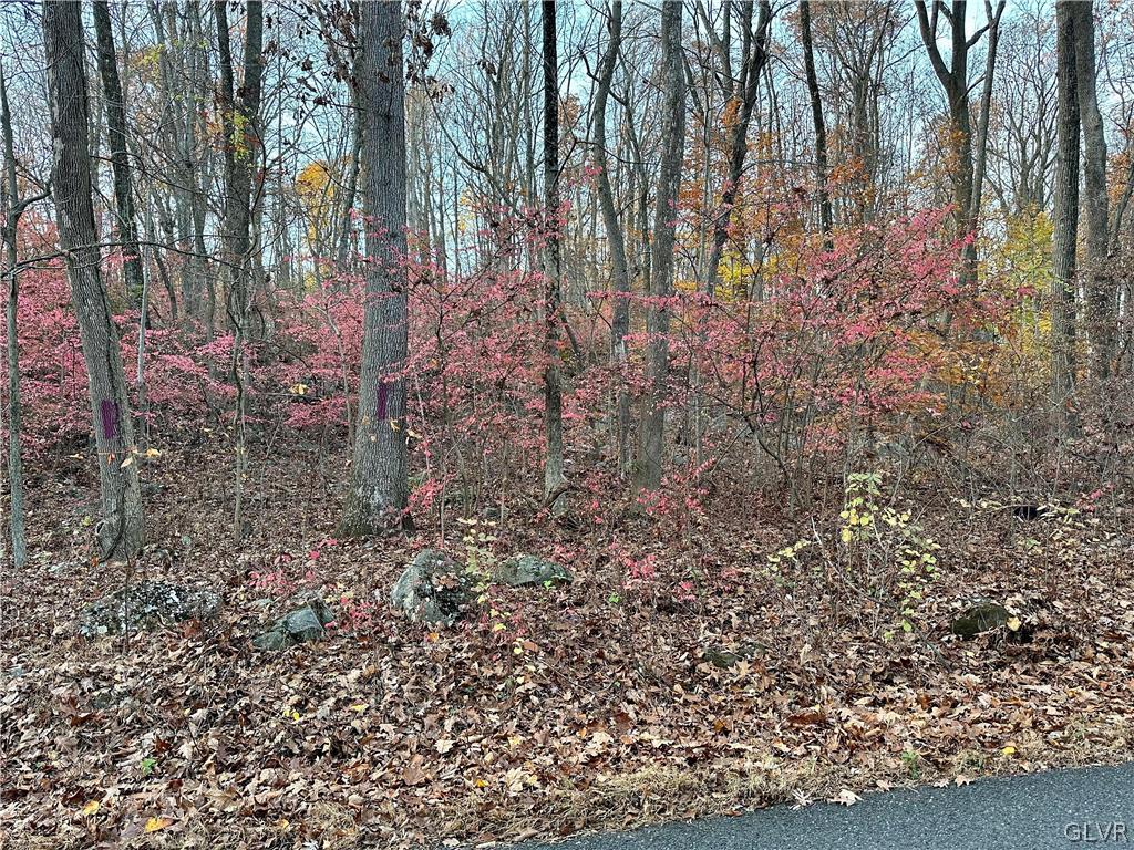 a view of a yard with lots of bushes