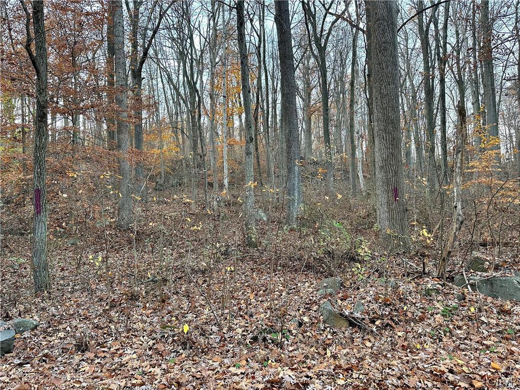Quarry Road Coopersburg, PA 18036 - Photo 2 of 5 a view of a forest