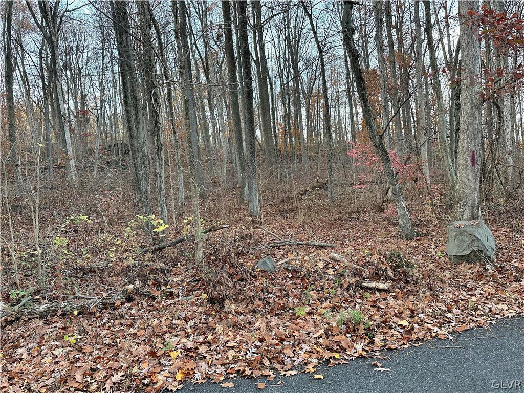 Quarry Road Coopersburg, PA 18036 - Photo 3 of 5 a view of a backyard