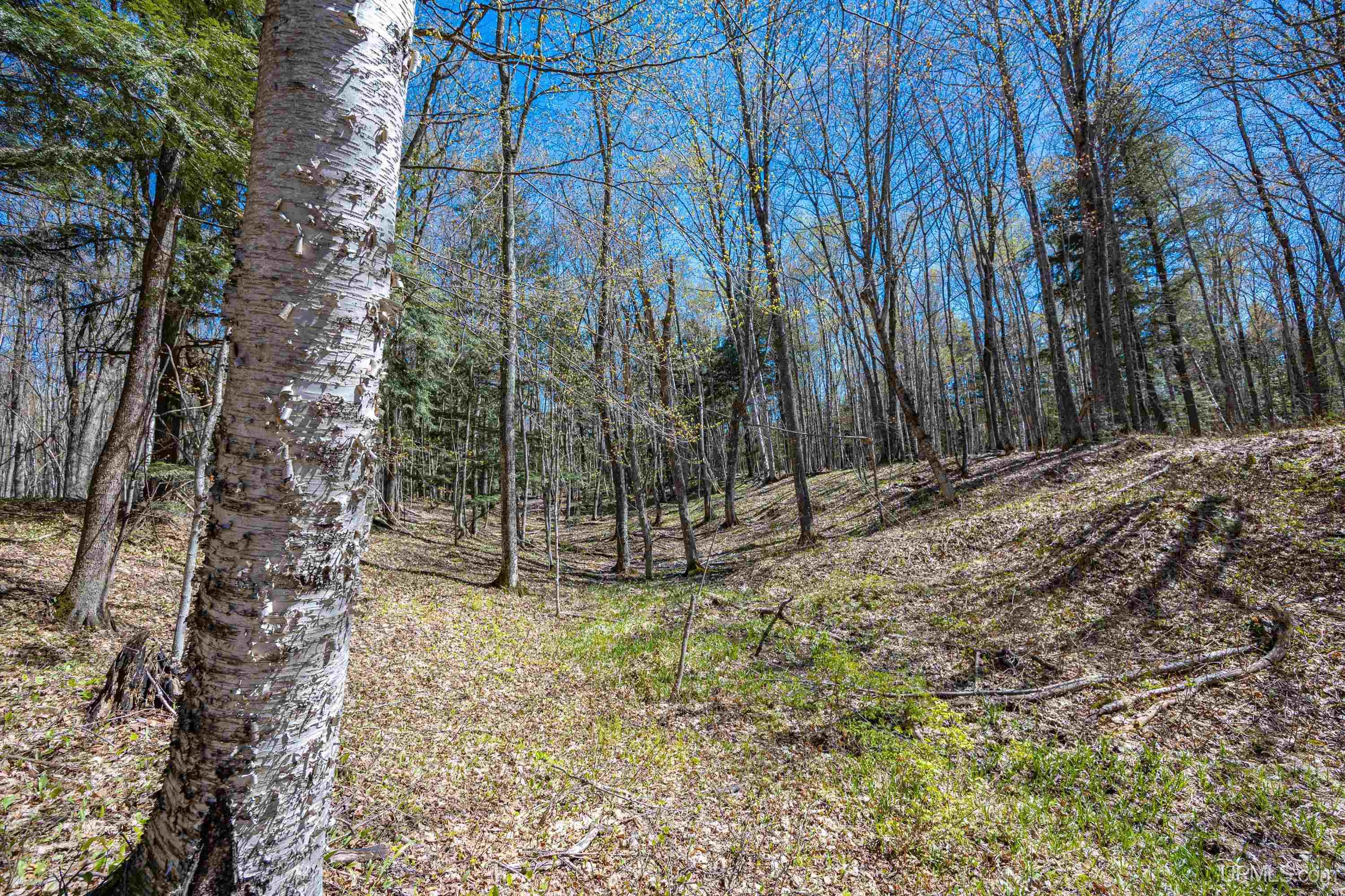49190 Upper Freda Shores Road Atlantic Mine, MI 49905 - Photo 55 of 68