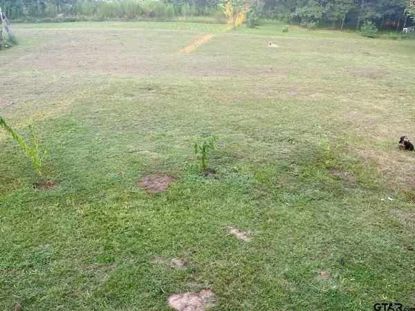 $169,900 | 205 Pr 2127 Marshall Tx 75672, Marshall, TX 75672