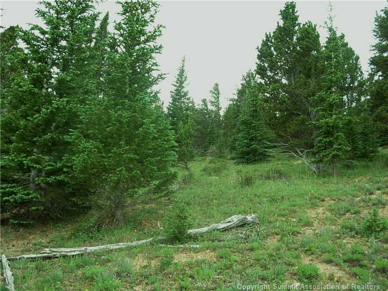 Land/Lot.