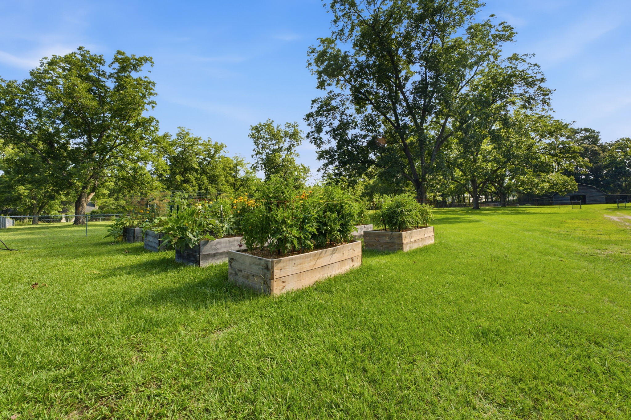 2045 Cains Mill Road Sumter, SC 29154 - Photo 73 of 83 Raised garden beds