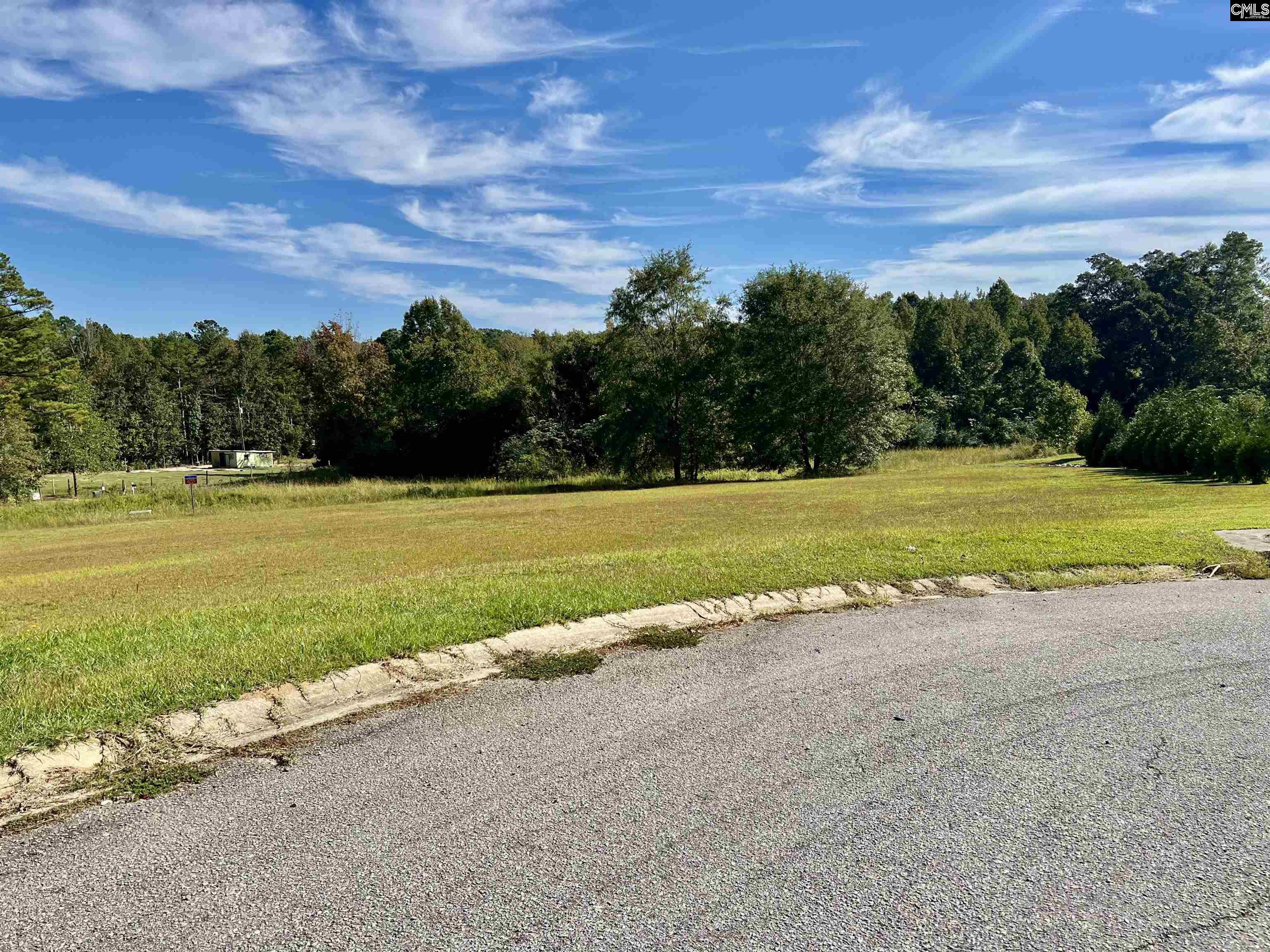 127 Deer Ridge Trail Gilbert, SC 29054 - Photo 10 of 13