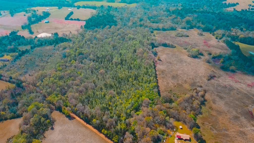 4308 Reno Road Naples, TX 75568 - Photo 2 of 6 an aerial view of a house with a yard