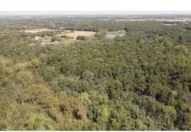 a view of a city with lush green forest