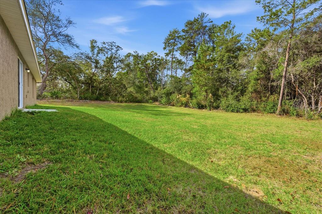 16592 Southwest 31st Circle Ocala, FL 34473 - Photo 26 of 27 a backyard of a house with lots of green space