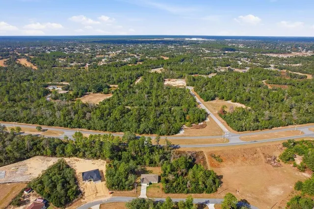 an aerial view of residential houses with outdoor space and trees