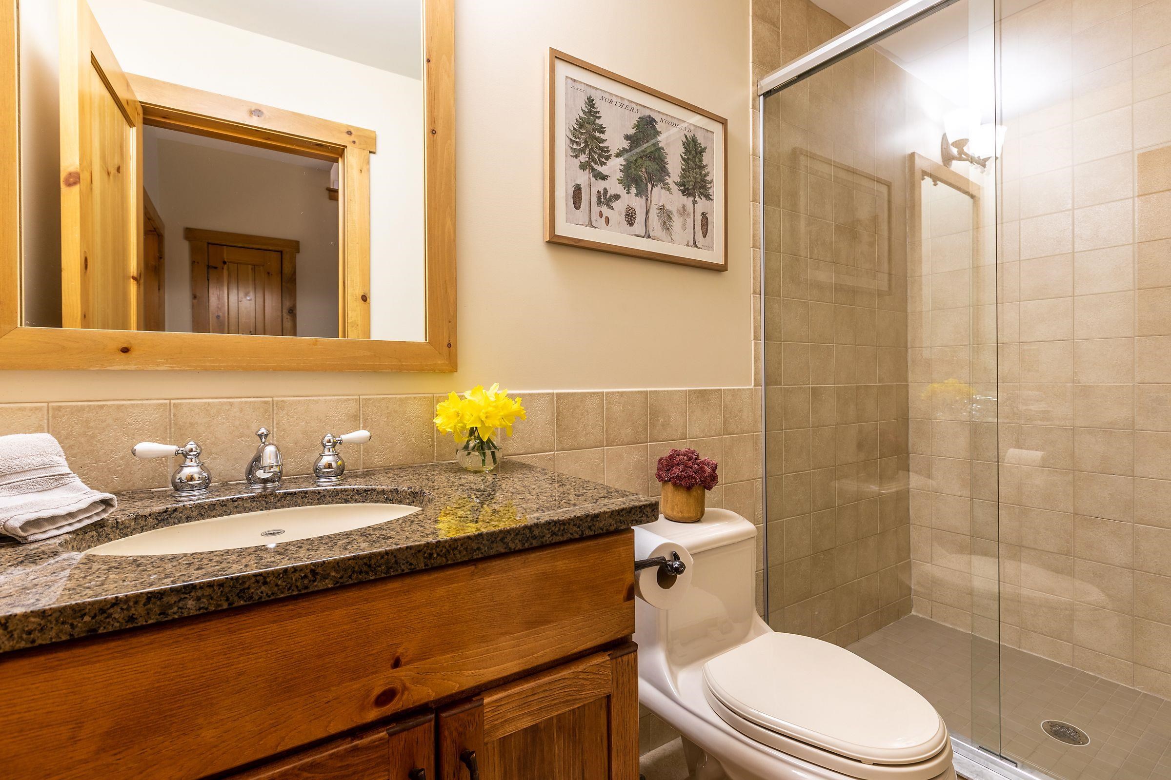 3 B Balsam Corner Stratton, VT 05155 - Photo 21 of 40 Gallery Image 21