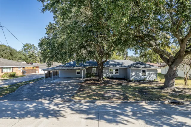 a view of a house with a large tree and a yard