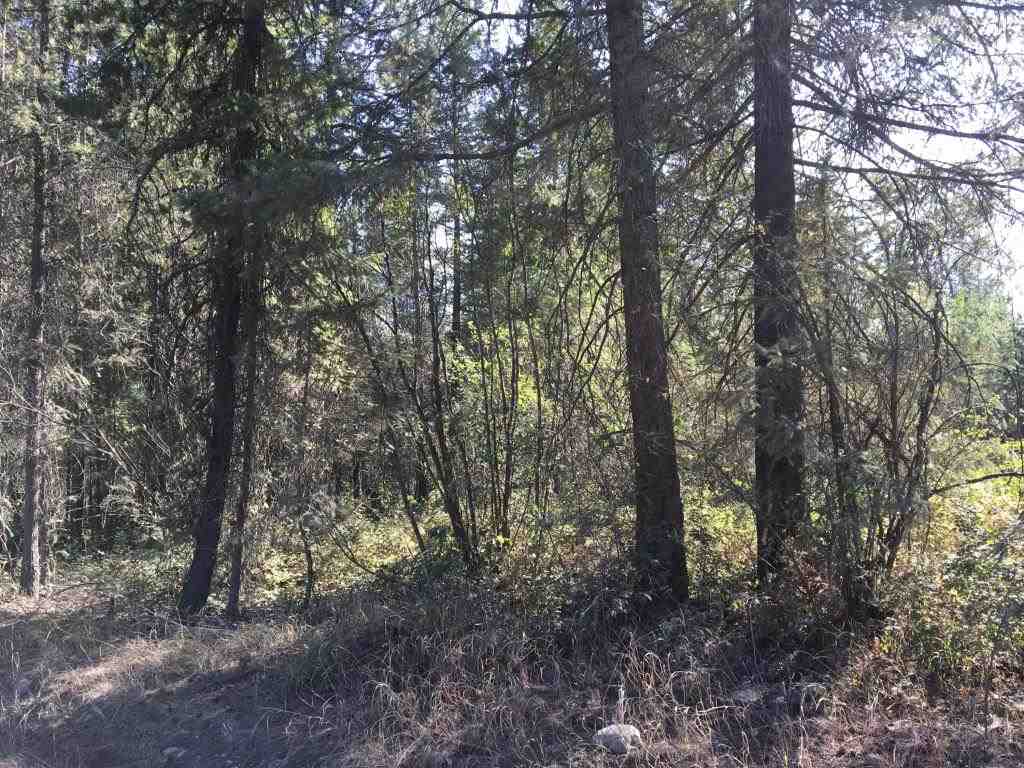 Tbd Tbd Boyle Road Springdale, WA 99173 - Photo 1 of 5