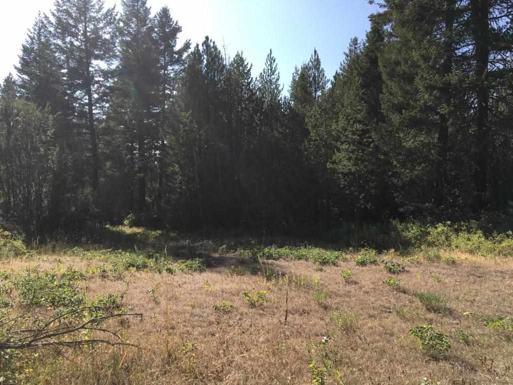 Tbd Tbd Boyle Road Springdale, WA 99173 - Photo 5 of 5