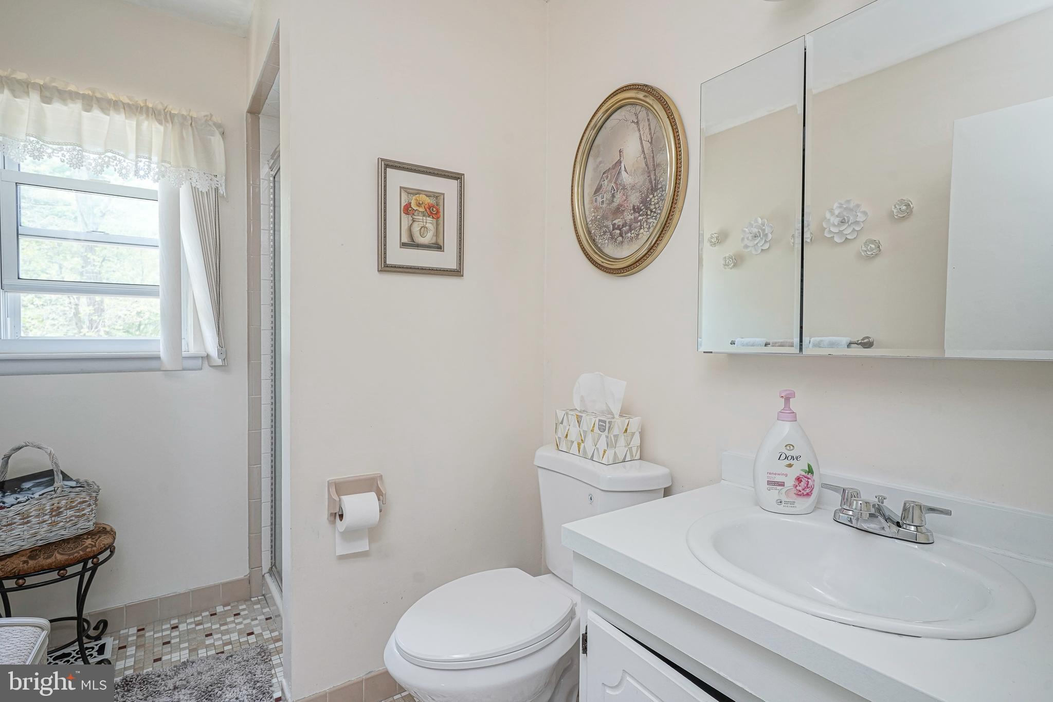 118 Golfview Drive Sewell, NJ 08080 - Photo 22 of 39 a bathroom with a toilet a sink and a mirror