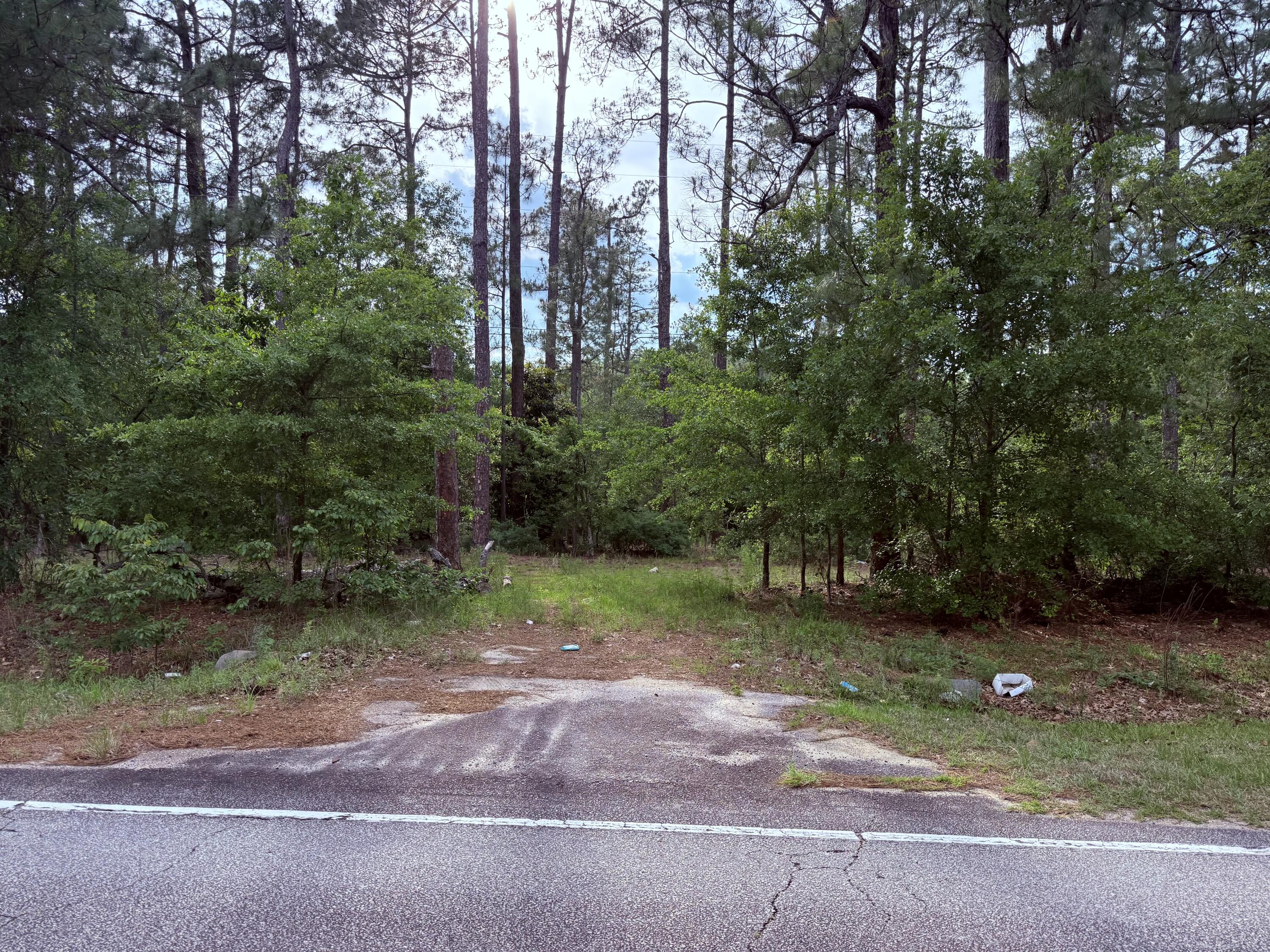 5827 Reynolds Road Blackville, SC 29817 - Photo 3 of 5