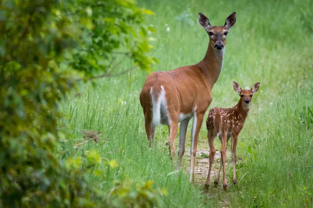 $145,000 | 301-xx 513th Avenue, Ottertail, MN 56571