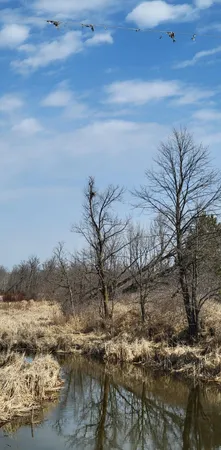 $145,000 | 512-xx 512-xx Leaf River Road, Ottertail, MN 56571