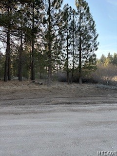 34557 Polique Canyon Road Lucerne Valley, CA 92356 - Photo 11 of 17