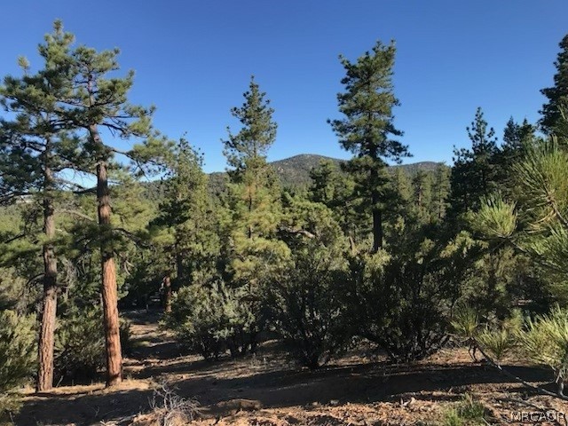 34557 Polique Canyon Road Lucerne Valley, CA 92356 - Photo 14 of 17